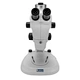 Trinocular Zoom Stereo Microscope
